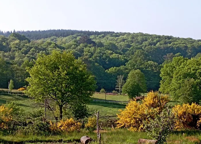 Les Chalets De La Vialette